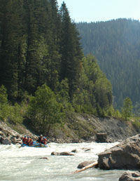 Aventure et rafting sur la rivière Kicking Horse à Banff