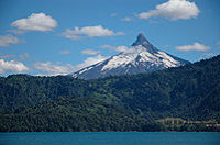 Vue sur la grande végétation et la haute montagne de Patagonie