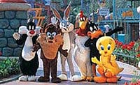 six-flags-magic-mountain-in-los-angeles-1