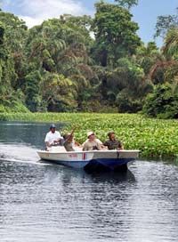 Naviguez à travers les canaux exotiques dans le Parc National Tortuguero, San José
