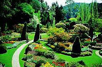 Le beau jardin de Butchart à Victoria
