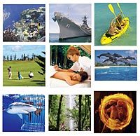 Un accès aux diverses attractions à Honolulu
