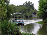 new-orleans-cajun-bayou-tour-in-new-orleans-2