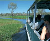 Une croisière sur la rivière Yellow Waters, Darwin