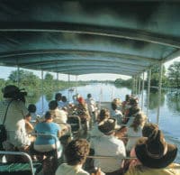 Une croisière guidée en bateau sur Yellow Water, Darwin