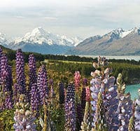 5-day-south-island-tour-from-christchurch-in-christchurch-2