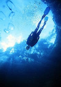 La plongée sous-marine, Aruba