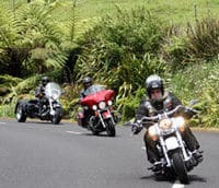 Découverte d'Auckland en moto Harley Davidson