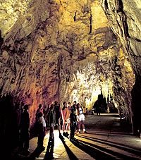 auckland-to-rotorua-via-waitomo-glowworm-caves-one-way-tour-in-auckland-1