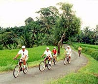 Les toursites-cyclistes dans le sentier d'une île tropicale, Bali