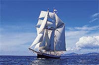 bay-of-islands-tall-ship-sailing-on-r-tucker-thompson-including-bbq-in-bay-of-islands-1