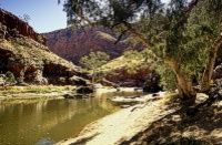 Une visite de la beauté naturelle d' Alice Springs