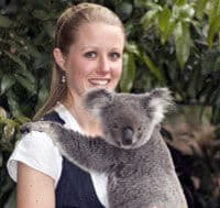 Caresser un koala dans un sanctuaire de la faune de Brisbane