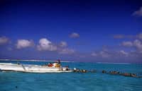 Une expérience marine inoubliable à Bora Bora, Tahiti