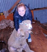 Une visite d'élevage de moutons dans une ferme à Christchurch