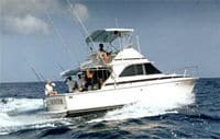 deep-sea-fishing-from-st-lucia-in-castries-1