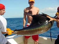 Le meilleur de la pêche sportive, San Juan