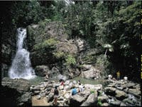 Les chutes d'eau spectaculaires dans la forêt tropicale de San Juan