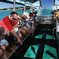 Big Cat - croisière à Green Island sur un bateau à fond transparent (ex Cairns )