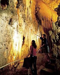 excursion-d-une-journ-e-rotorua-et-aux-grottes-de-waitomo-au-d-part-d-in-auckland-1