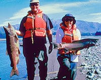 Des gros poissons pêchés dans les rivières de Christchurch