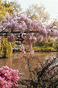 Le beau jardin de Giverny, Paris