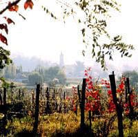 Une découverte des régions viticoles de Bordeaux