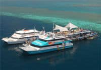 Les catamarans climatisés sur la Grande Barrière de Corail, îles Whitsundays et Hamilton