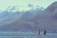 half-day-fishing-tour-from-christchurch-in-christchurch-2