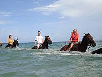 Promenade à cheval le long de la côte d'Ocho Rios