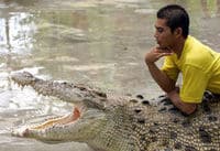 Une visite de la ferme aux crocodiles à Langkawi