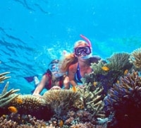 Une sortie d'observation des coraux en plongée libre et en semi-submersible, Cairns