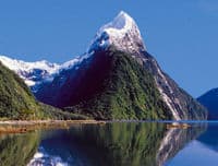 Une visite pittoresque dans le parc national de Fiordland