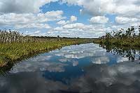 Une croisière sur le long des Everglades de Noosa
