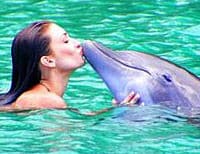 Une interaction étroite avec un dauphin à Ocho Rios