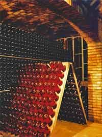 Une dégustation de vin et de cavas dans les caves, Valence