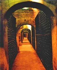 Une découverte de cave à vin, Valence