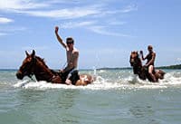 Visite privée à cheval de la côte d'Ochos Rios