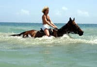 Promenade à cheval dans la mer, Ocho Rios