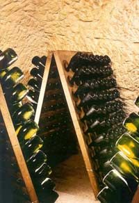Les vins dans une cave à vins de Champagne