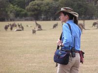 Une visite écologique des grands espaces de l'Australie, Melbourne