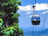 Une visite en téléphérique skyrail de la forêt tropicale, Port Douglas