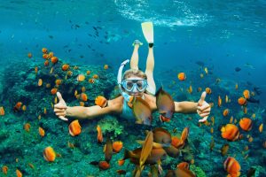 Snorkeling à Anguilla dans les Caraïbes