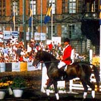 Une visite de la ville de Suède au départ de Copenhague