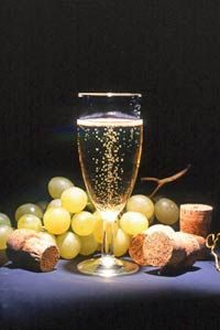 Dégustation de vin à Champagne