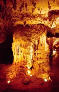 waitomo-glowworm-caves-discovery-tour-from-auckland-in-auckland-1