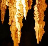 Les stalactites des grottes de Waitomo, Auckland