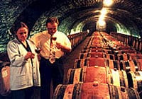 wine-tasting-cote-de-nuits-region-with-one-cellar-visit-in-dijon-1