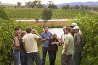 Une visite de la région de vin dans la vallée de Yarra de Melbourne