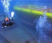 La vie sous-marine à Grande canarie